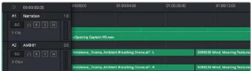 Blackmagic Design Pocket Cinema Camera 4K - Linea de tiempo del audio - 1