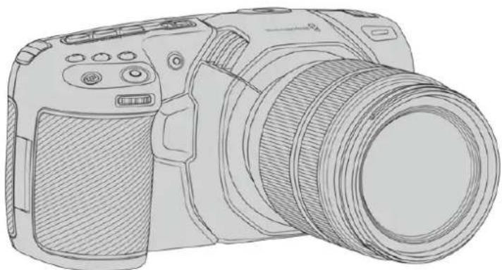 Blackmagic Design Pocket Cinema Camera 4K - Which is the best way to use this book? - 2