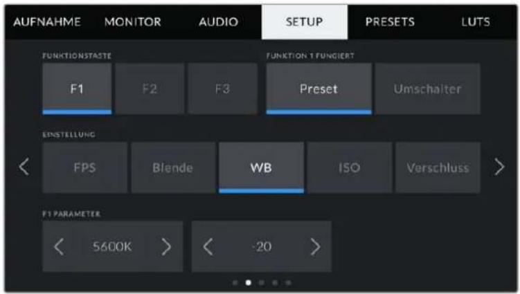 Blackmagic Design Pocket Cinema Camera 4K - SETUP-Einstellungen Seite 2 - 1