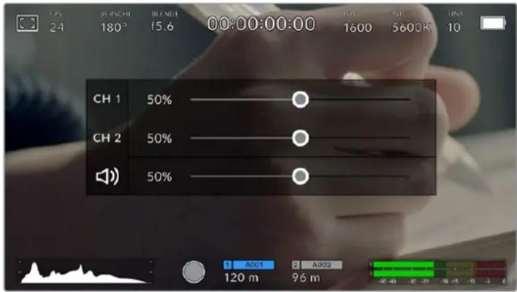 Blackmagic Design Pocket Cinema Camera 4K - Audiopegelmeter - 2