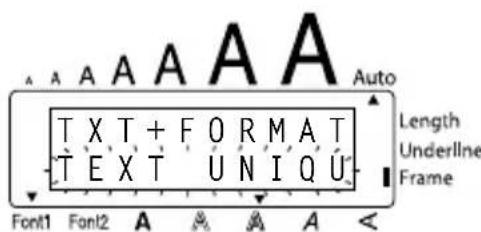 BROTHER Ptouch PT1960 - Pour supprimer seulement l'affichage du texte : - 3