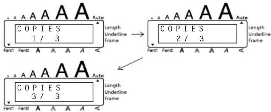 BROTHER Ptouch PT1960 - EXAMPLE - 3