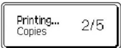 BROTHER Ptouch PT2700 - Auto-numbering Labels - 6