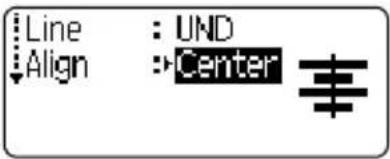 BROTHER Ptouch PT2700 - Setting Character Attributes by Label - 2