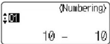 BROTHER Ptouch PT2700 - Auto-numbering Labels - 4