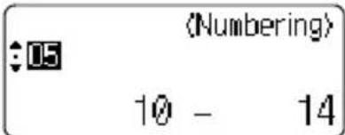 BROTHER Ptouch PT2700 - Auto-numbering Labels - 5