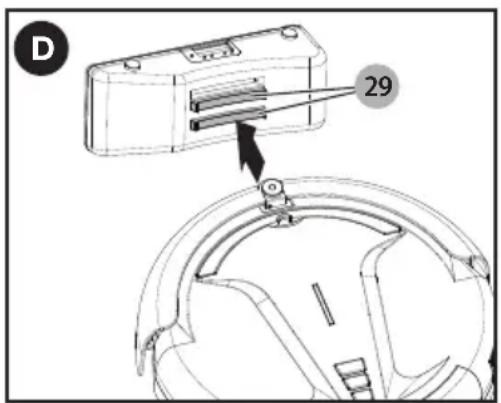 D 29