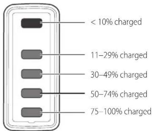 BLACK & DECKER HFEK520J - State of charge indicator - 1