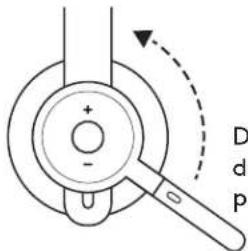 D d P