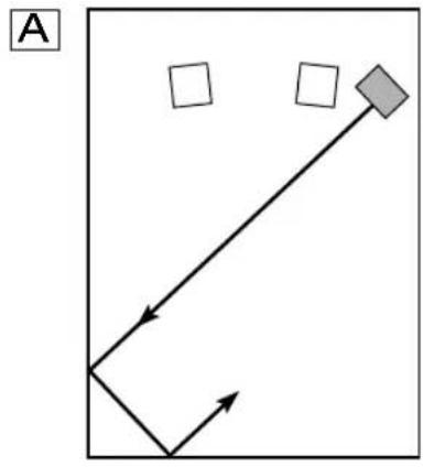 YAMAHA YSTSW216 - PLACERING - 1
