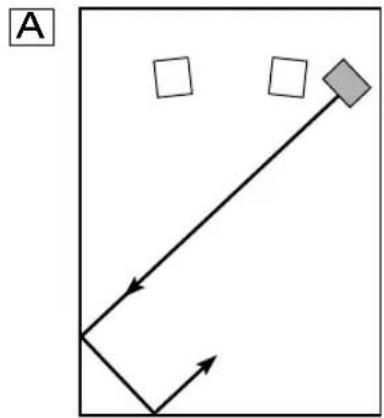 YAMAHA YSTSW216 - PLACEMENT - 1
