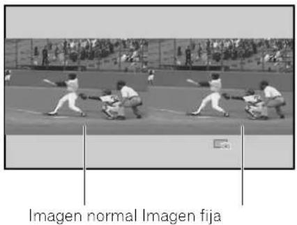 Imagen normal Imagen fija