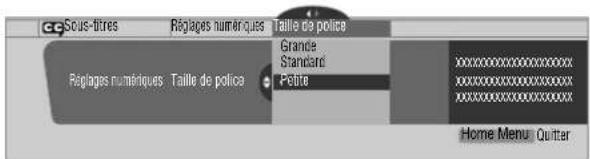 Sous-titres Répages numériques Taille de police Grande Standard Périte Répages numériques Taille de police Home Menu Quitter