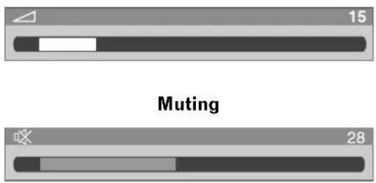 15 Muting 28