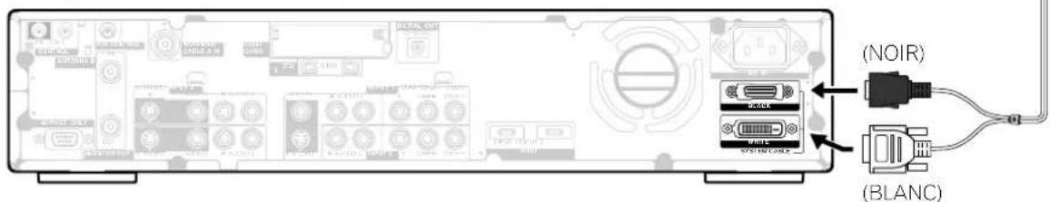 PIONEER PDP5060HD - Raccordement du câble système - 2