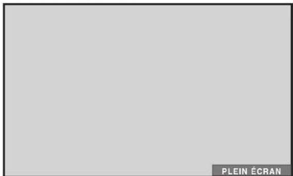 PIONEER PRO810HD - Appuyez sur la touche SCREEN SIZE. - 1