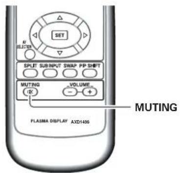 PIONEER PRO810HD - Muting the Sound - 1