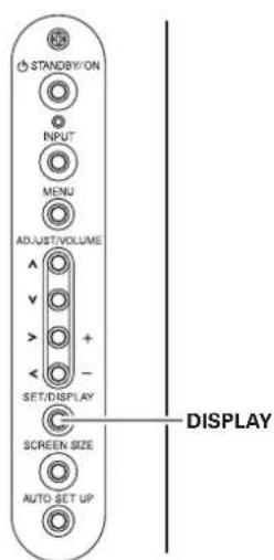 PIONEER PRO810HD - Confirming Current Status - 1