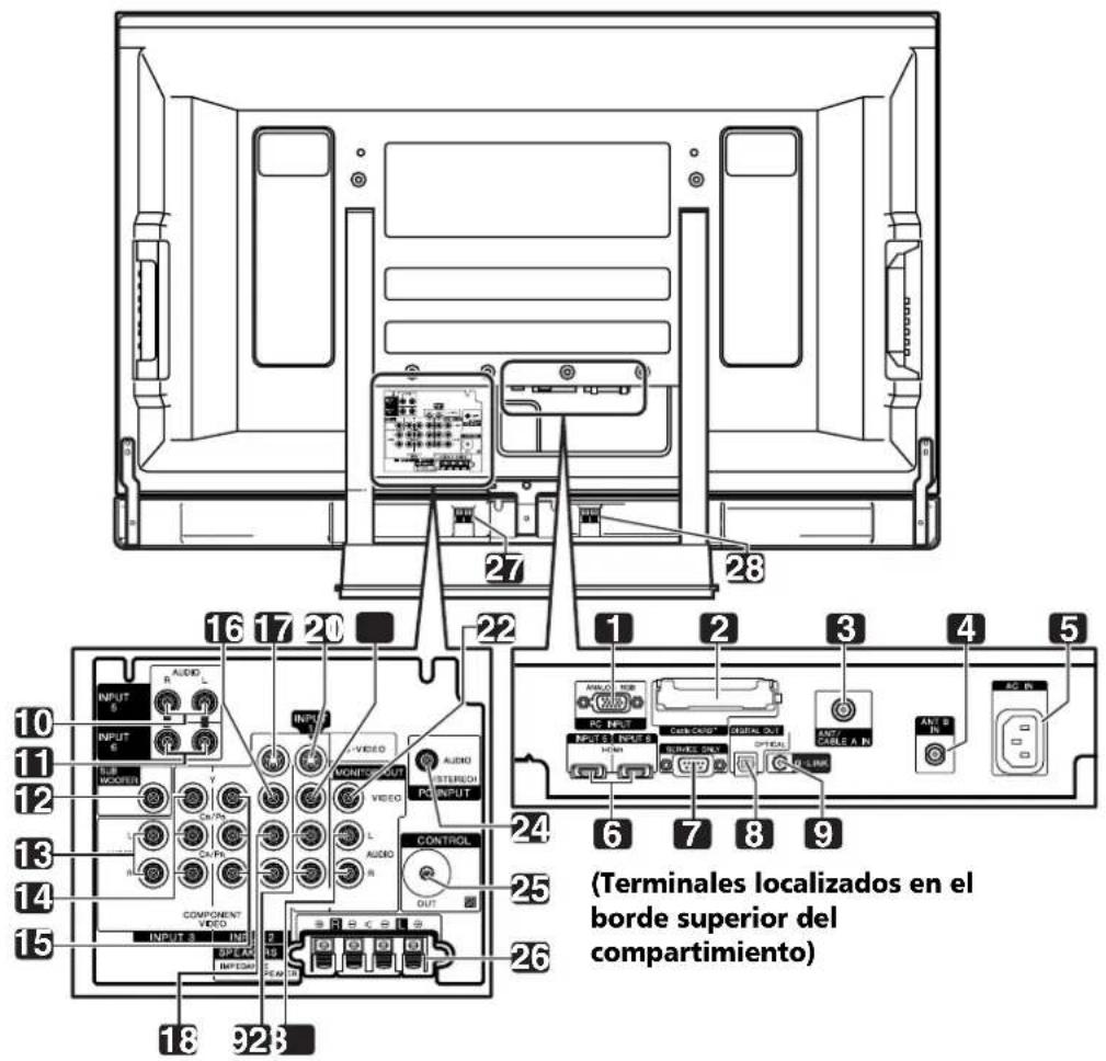 PIONEER PDP6071HD - Vista trasera - 1