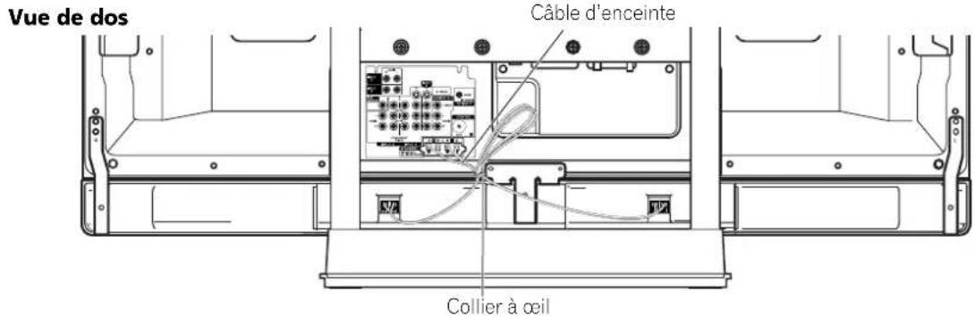 PIONEER PDP6071HD - Cheminement des câbles - 1