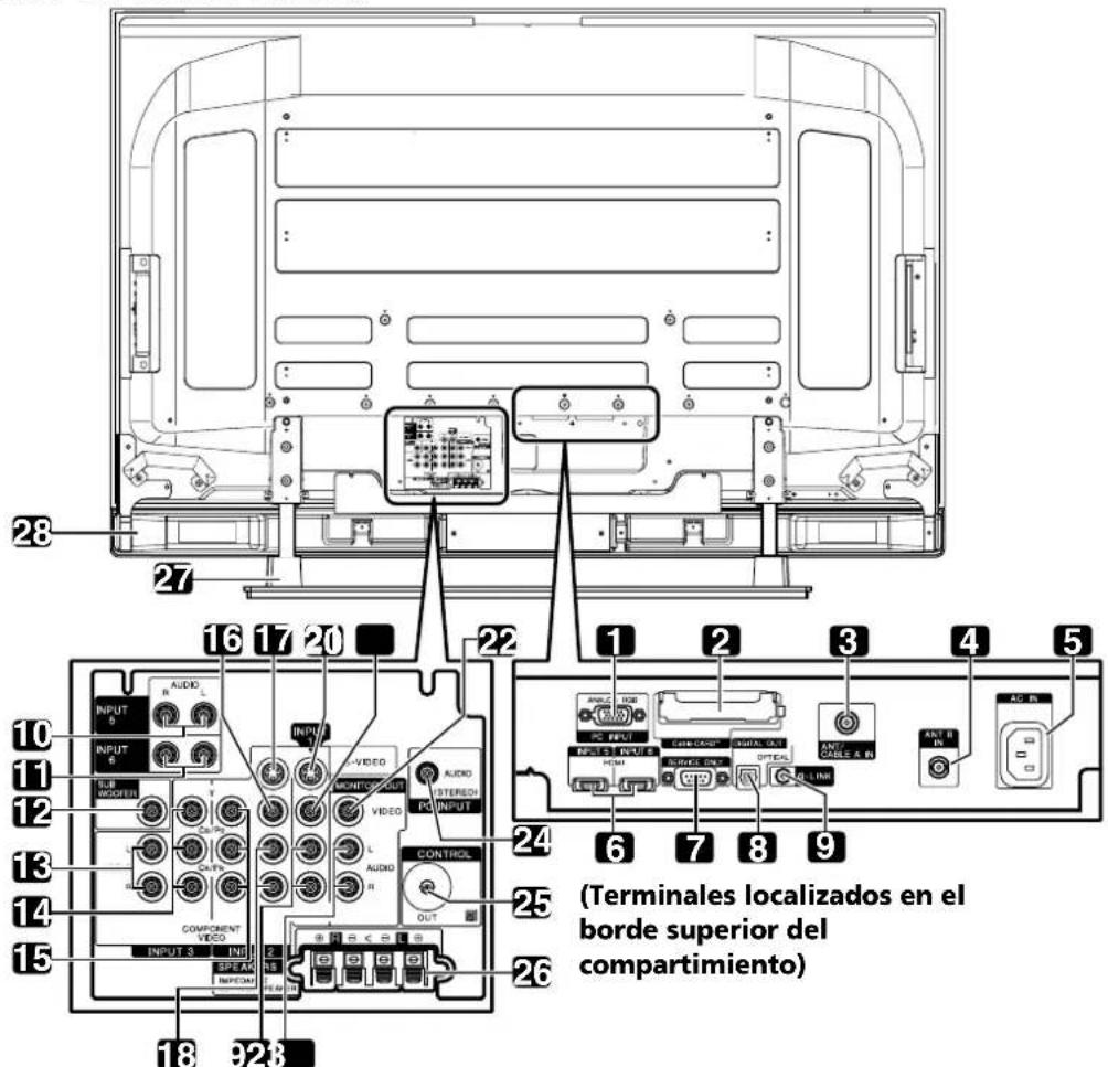 PIONEER PDP6071HD - Vista trasera - 1