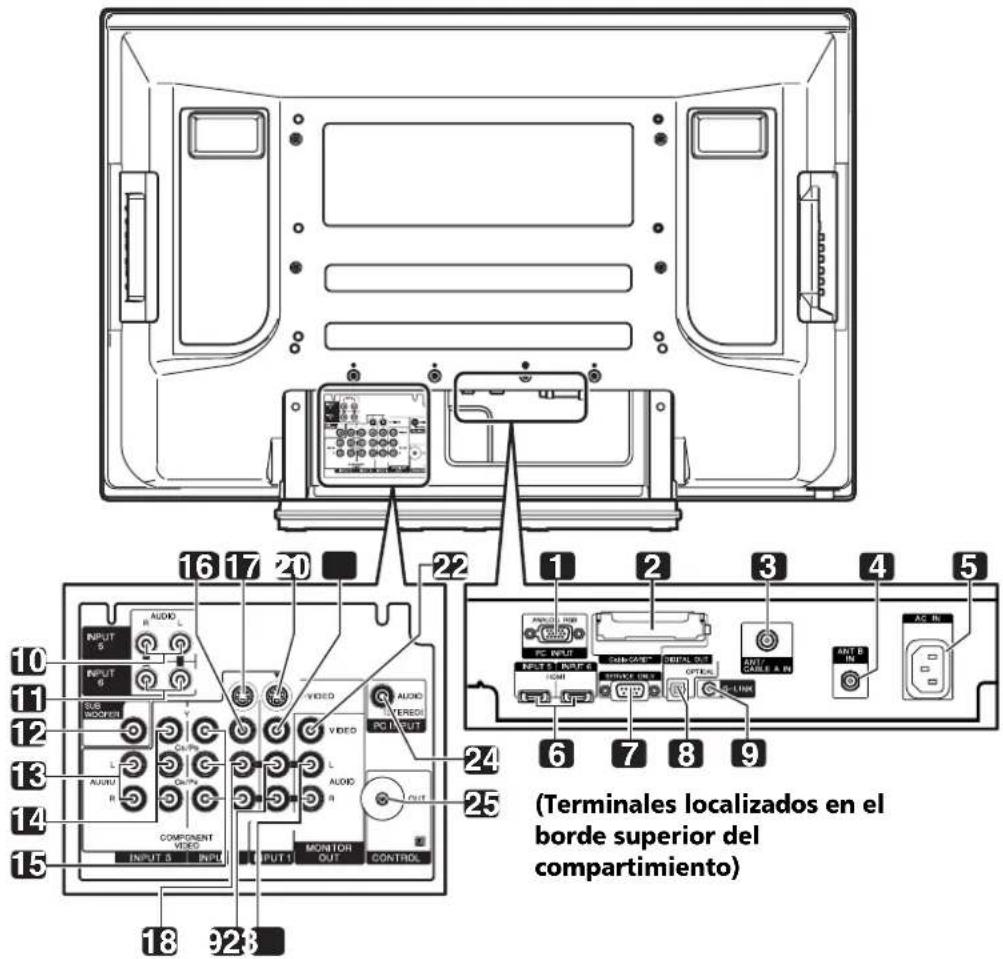 PIONEER PDP6071HD - Vista trasera - 1