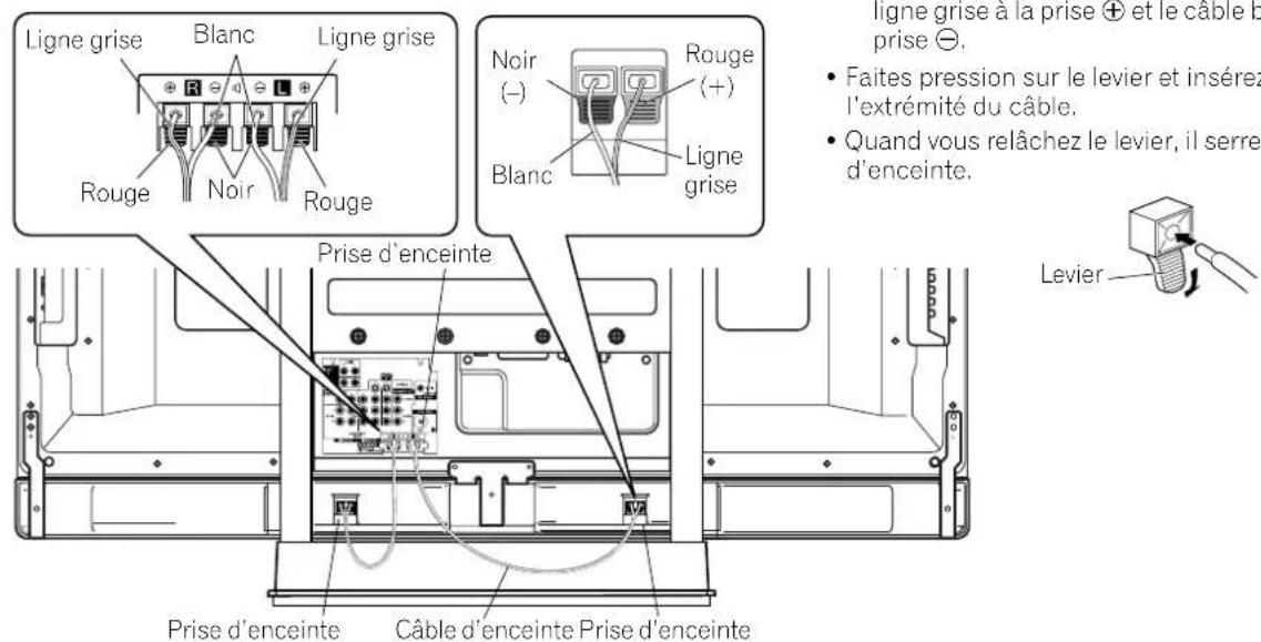 PIONEER PDP6071HD - Connectez les câbles d'enceinte fournis à l'arrière de l'écran plasma. - 1