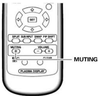 PIONEER PDP507CMX - Muting the sound - 1
