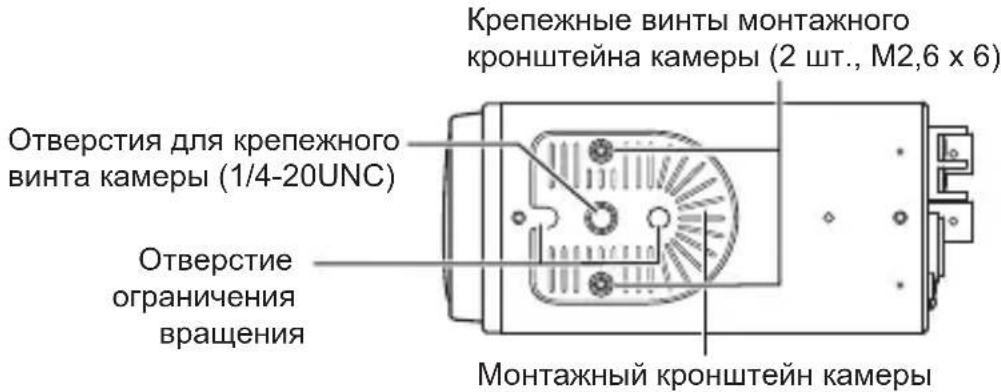 JVC TKC9511EG - Kpenenne Kaempebl - 1