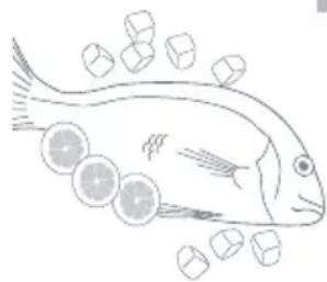 Fisher & Paykel Active Smart E522BLXU - Fish - 1