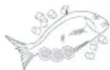 Fisher & Paykel Active Smart E522BLXU - Poissons et fruits de mer - 1