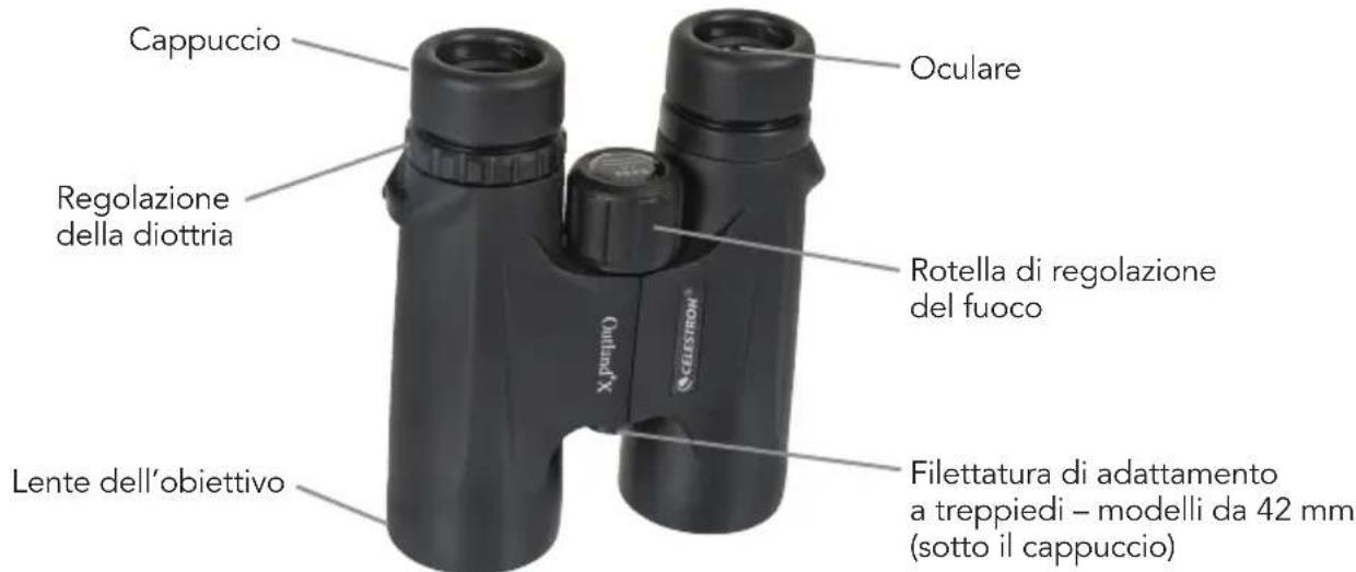 CELESTRON Outland X - REGOLAZIONE DEL SISTEMA DI MESSA A FUOCO - 2