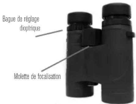 CELESTRON Nature DX - RéGLAGE DU DIEPTRF/FOCALISATION - 1