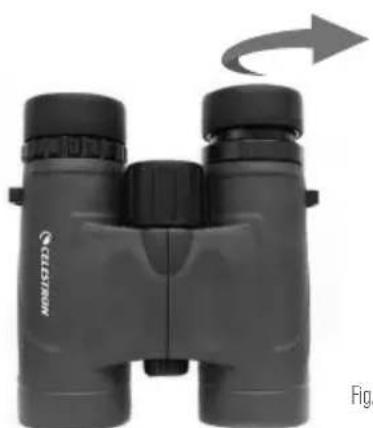 CELESTRON Nature DX - RéGLAGE DES OEILLETONS - 1