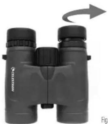 CELESTRON Nature DX - REGOLAZIONE DELLA CONCHIGLIA OCULARE - 1