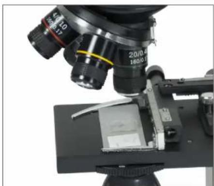 CELESTRON TetraView - ROTAZIONE DELLO SCHERMO LCD - 1