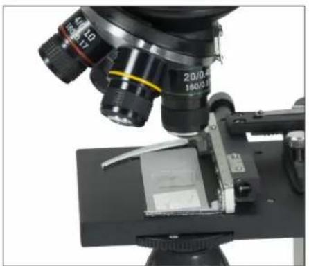 CELESTRON TetraView - AV/TV CABLE - 1