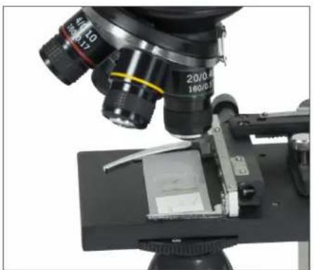 CELESTRON TetraView - AV/TV-KABEL - 1