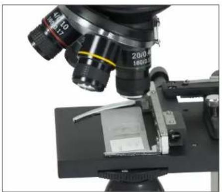 CELESTRON TetraView - CÂBLE AV/TV - 1