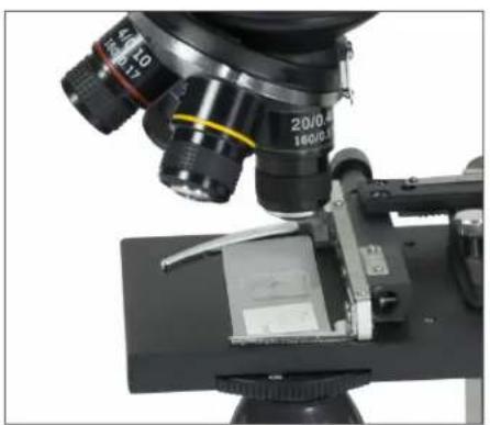 CELESTRON TetraView - CABLE AV/TV - 1