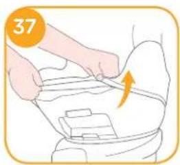 Joie Spin Safe - Detach Soft Goods - 7