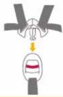 Joie iSpin Safe - Vaiko tvirtinimas - 7