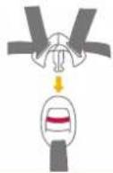 Joie iSpin Safe - 30 - 2