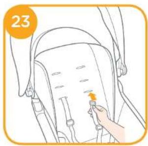 Joie Extoura - 17