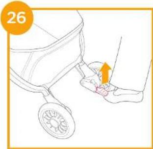 Joie Tourist - Stroller Assembly - 26