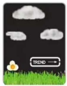 ALECTO WS1560 - Weather forecast - 3