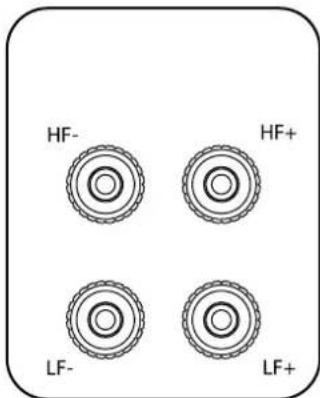 Q-ACOUSTICS Concept 20 - Borniers et Connecteurs - 2