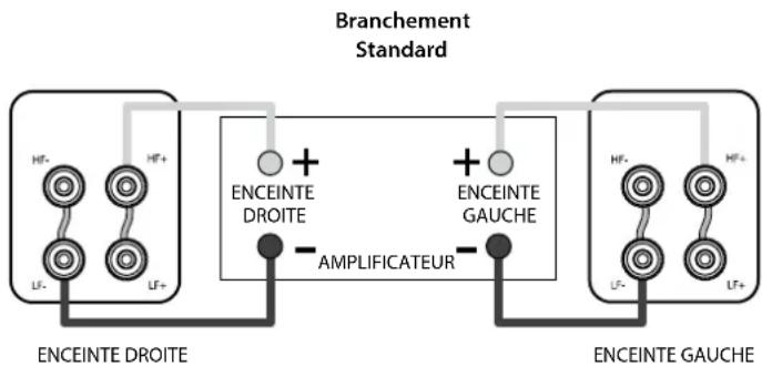 Q-ACOUSTICS Concept 20 - Bi-Cablage - 1