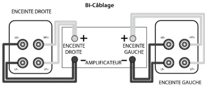 Q-ACOUSTICS Concept 20 - Bi-Cablage - 2