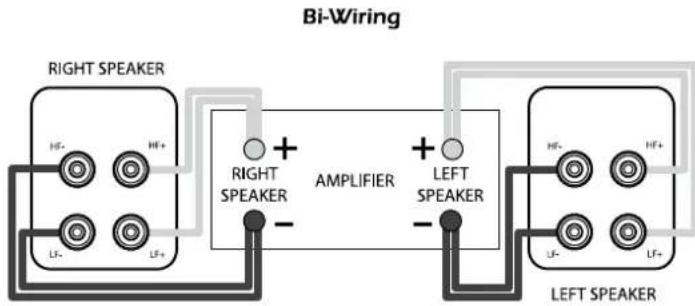 Q-ACOUSTICS Concept 20 - Bi-Wiring - 2